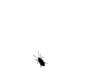 Bug3.gif