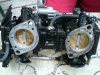 CIMG5612 (Large).JPG