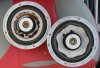 Polkspeakers02.jpg
