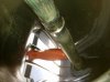 carbon seal 2.JPG