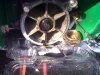 IMG00367-20120223-1520.jpg