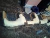 20120713_110921.jpg 20120713_110921.jpg