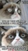 ImageUploadedByTapatalk1368889978.822332.jpg