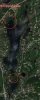 Whipple Lake 1.jpg