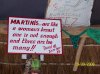 100_1437.jpg