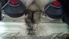 oil leak rave.jpg