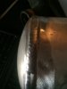 ImageUploadedByTapatalk1400802303.151217.jpg ImageUploadedByTapatalk1400802303.151217.jpg