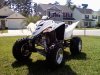 raptor 6.jpg