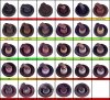 Spark%u00252BPlug%2BReading.jpg