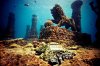 Neptune-Memorial-Reef-off-Key-Biscayne-in-Miami-Florida-memorial-for-cremated-remains.jpg