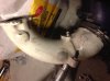 IMG_0058.jpg IMG_0058.jpg