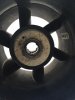 IMG_3310.jpeg