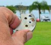 PTO carb corroded check valve.jpg