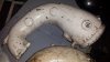 20160229_183204.jpg