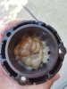 port pump cone grease.jpg