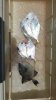 20160717_140920_resized.jpg