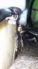 20160814_182344.jpg