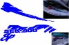 seadoodecal1.jpg