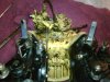 IMG00112-20100112-1851.jpg
