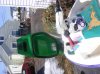 DSCF2076.jpg