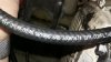 Black Hose Label.jpg