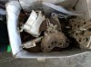 IMG_20170911_071558.jpg