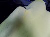 DSCN2100.JPG
