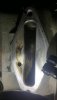 20180525_165146.jpg