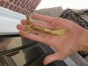 20180607_103800.jpg