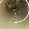 20180608_141356.jpg