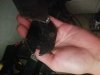 20180619_183645.jpg