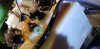 20180621_095338.jpg