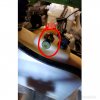 PhotoGrid_1529602359302.jpg