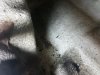 2018-06-18 22.47.59.jpg