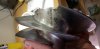 20180630_145829.jpg