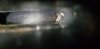 20180724_133424.jpg