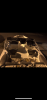 5D9E023A-76CC-4623-BE1B-261635CA3D29.png