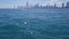 20180916_125240.jpg
