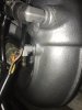 IMG_0617.jpeg IMG_0617.jpeg