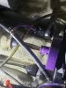 20190302_103017.jpeg