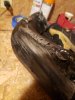 20190323_212901.jpeg
