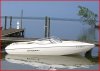 boat mans Stingray.JPG