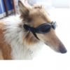 Dog Goggles.jpg
