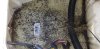 20190605_095616.jpg