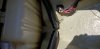 20190605_123839.jpg