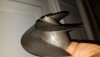 20190609_093821.jpg