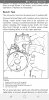 Screenshot_20190620-141254_Hancom Office Editor.jpg