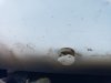 20190723_193301.jpg