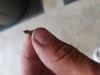 20190819_154259.jpg