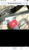 67341440-0570-4A22-8328-E1581FFE26FD.jpeg